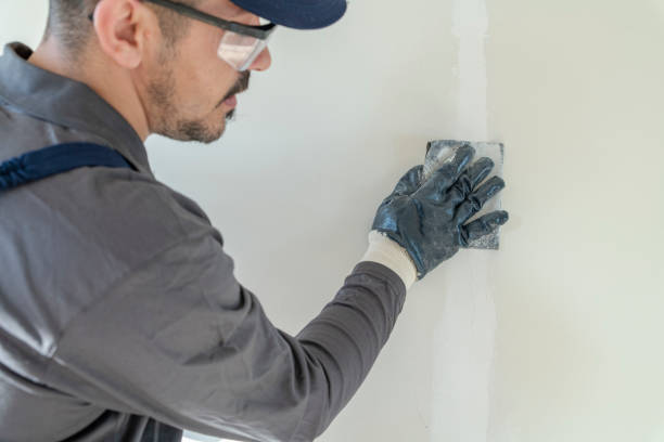 Best Commercial Painting  in Goose Creek Village, VA